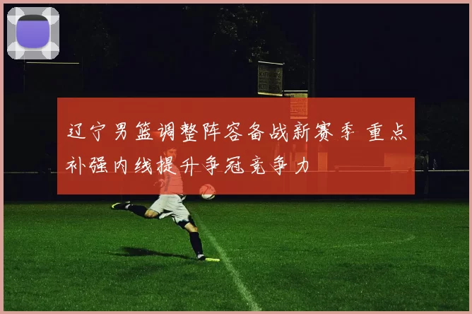 辽宁男篮调整阵容备战新赛季 重点补强内线提升争冠竞争力