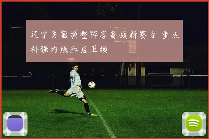 辽宁男篮调整阵容备战新赛季 重点补强内线和后卫线