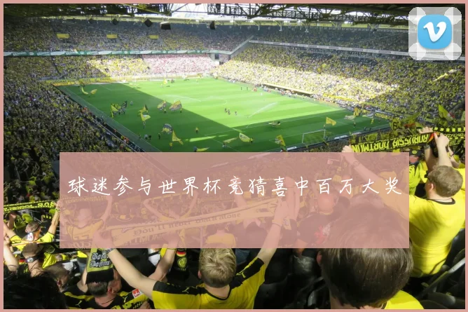 球迷参与世界杯竞猜喜中百万大奖